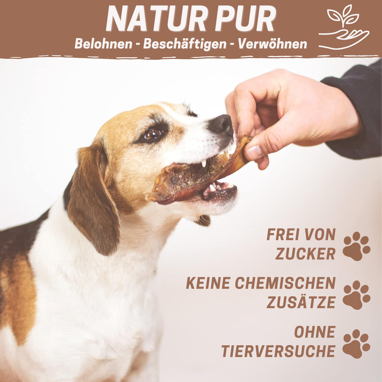 Ochsenziemer Abschnitte 1kg | Große und kleine Stücke | Premium Snack aus Deutschland | 100% Rind