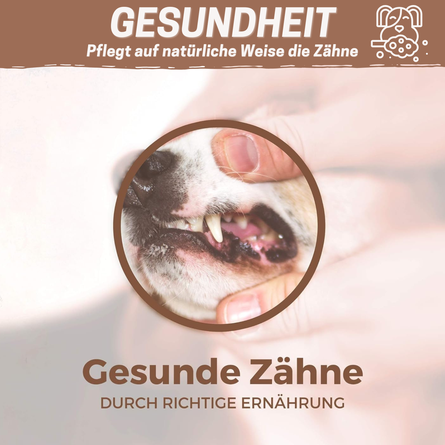 Ochsenziemer Abschnitte 1kg | Große und kleine Stücke | Premium Snack aus Deutschland | 100% Rind