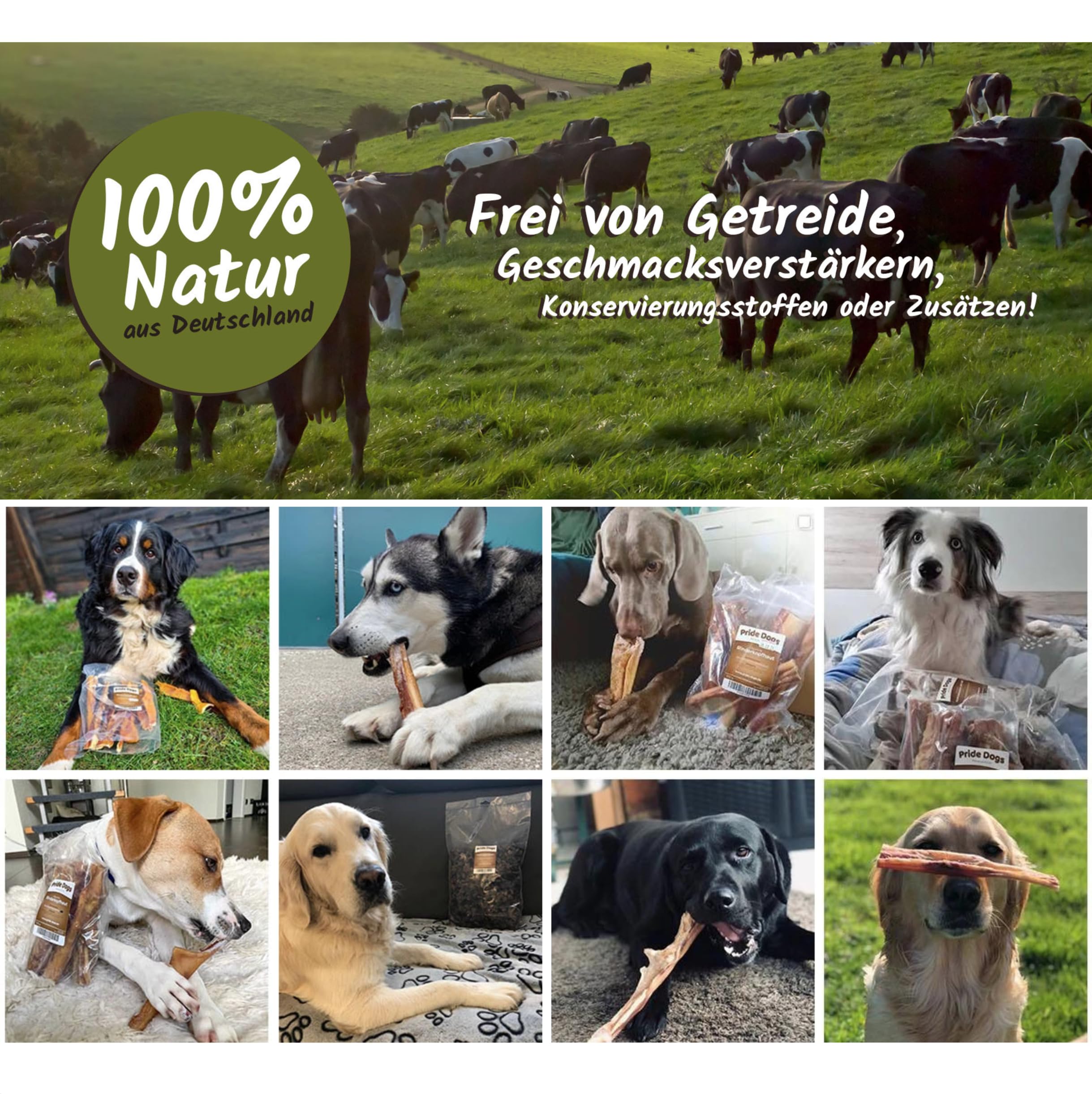 Büffelpansen von PrideDogs - Premium Leckerli für Hunde - Deutsche Herstellung - ohne Zusatzstoffe