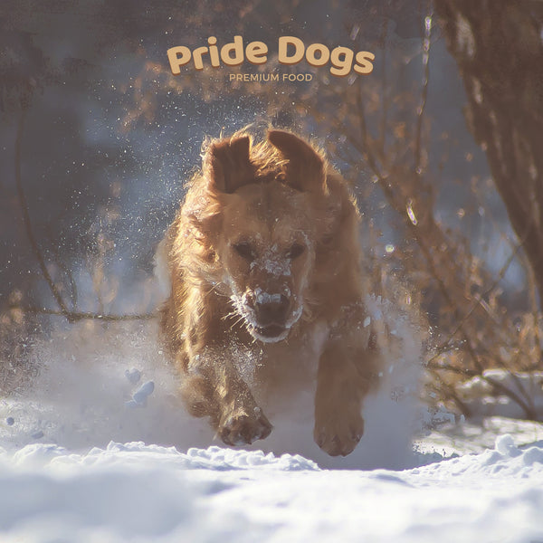 Rinderleber der Premium Kausnack für Hunde von PrideDogs | 100% Rind aus Deutscher Herstellung