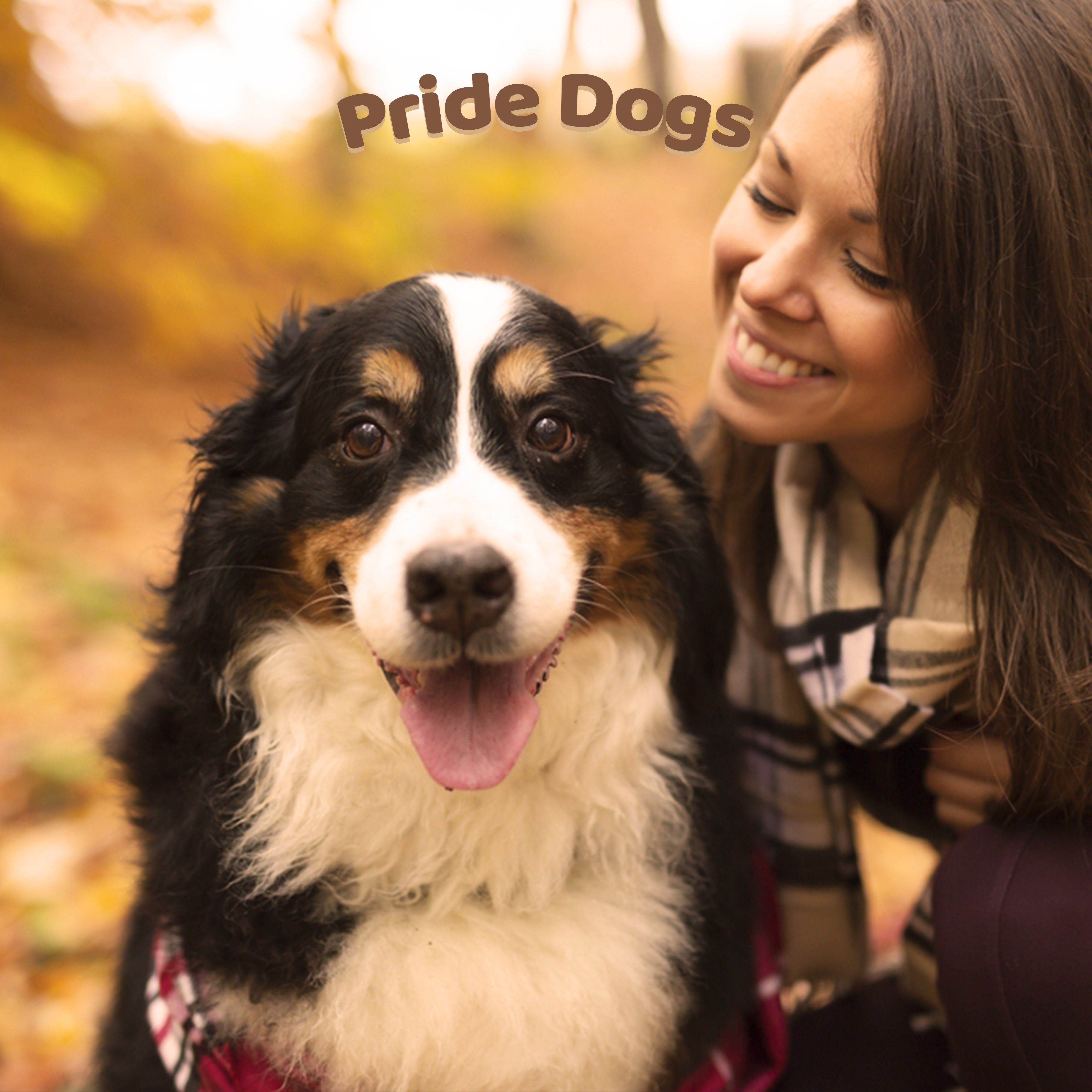 PrideDogs Büffelnackensehne 500g - 1000g Der Premium Kausnacks für Ihren Hund | 100% Büffel