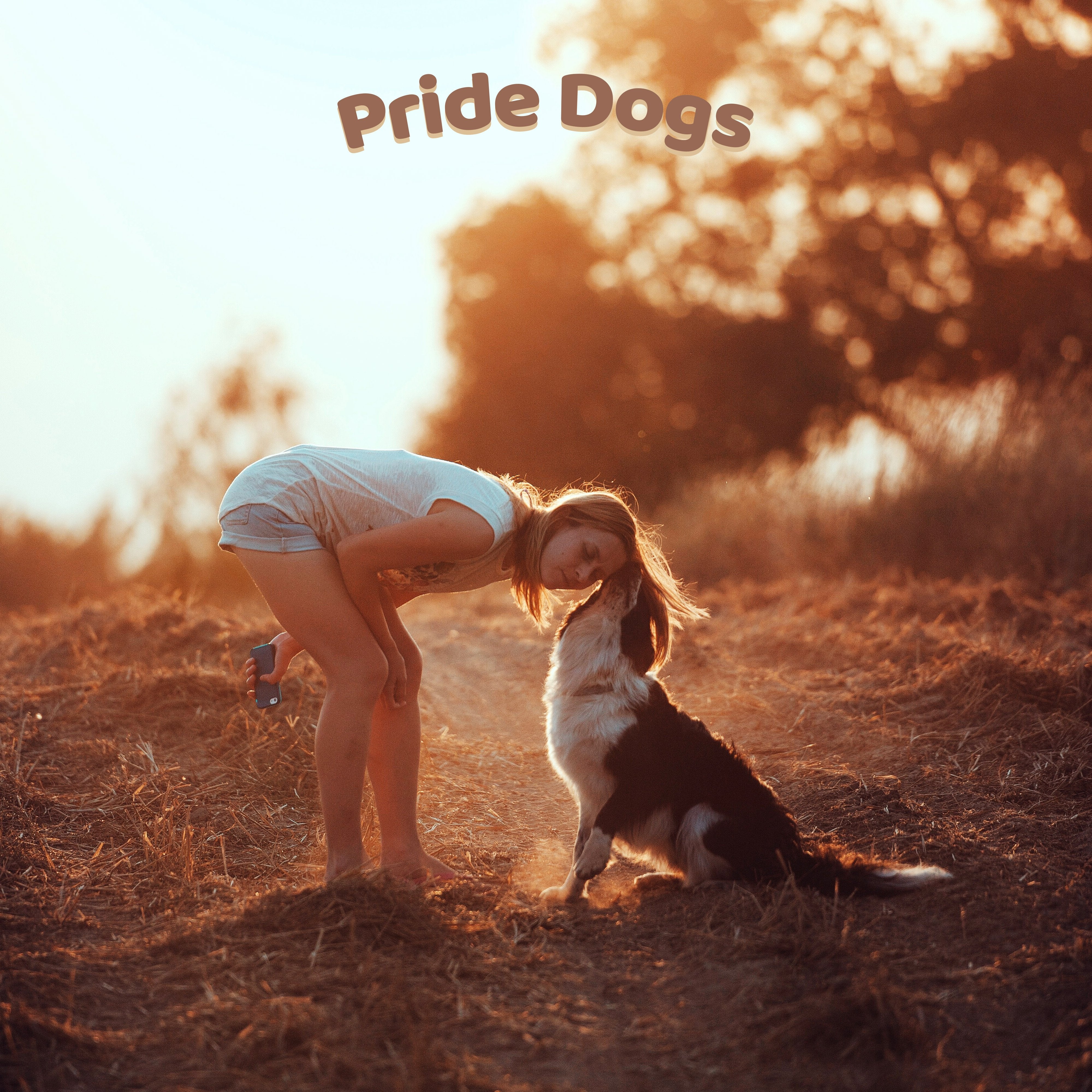 Trainingshappen Rinderlunge + PrideDogs Leckerlibeutel