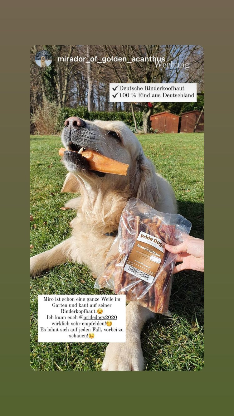 Kaninchenohren für Hunde: sind sie wirklich eine gute Wahl?