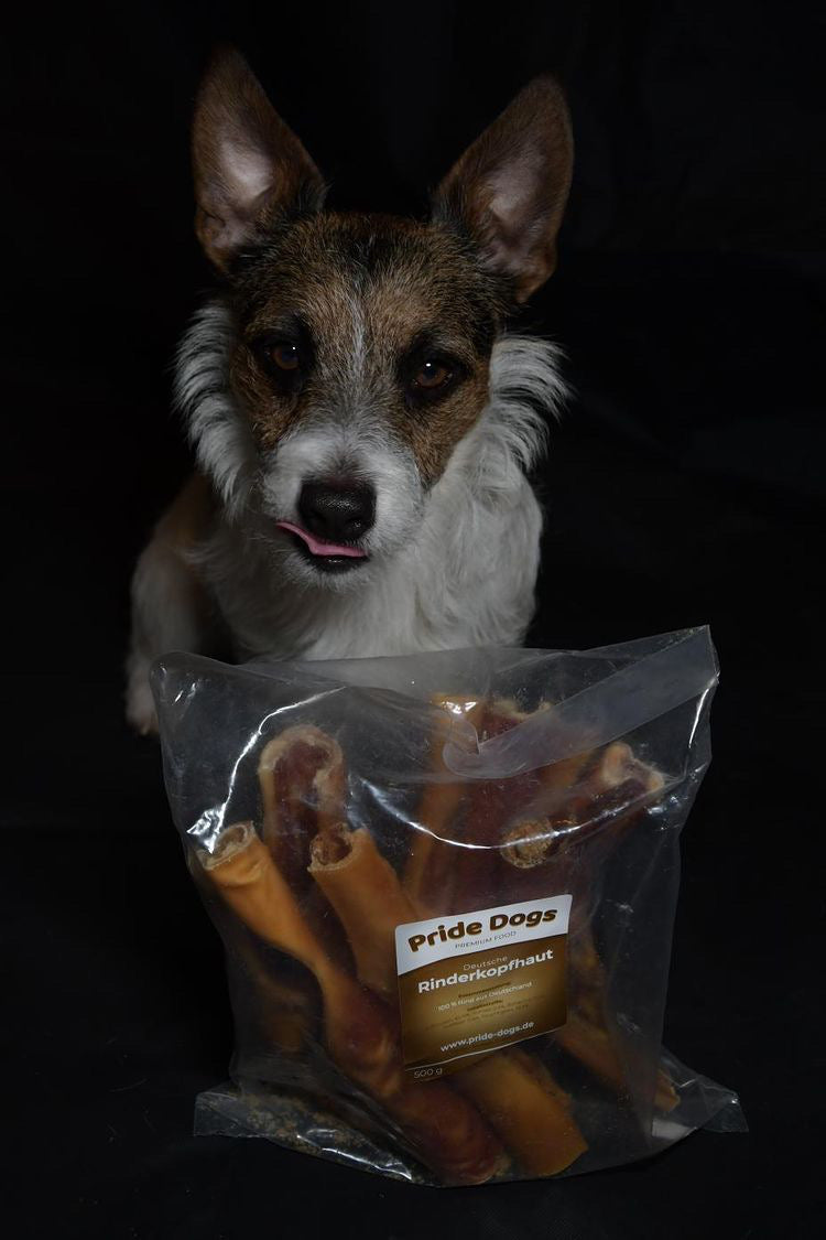 Darf mein Hund Schwein essen? Eine wichtige Frage für jeden Hundebesitzer