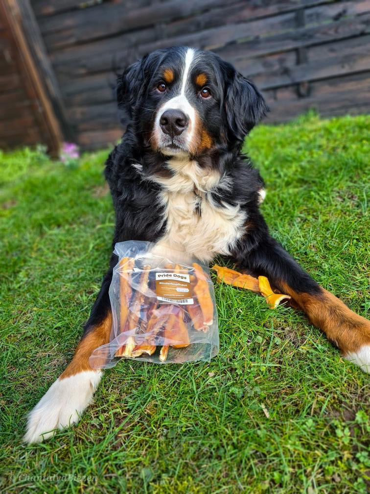 Hundesnacks selber machen