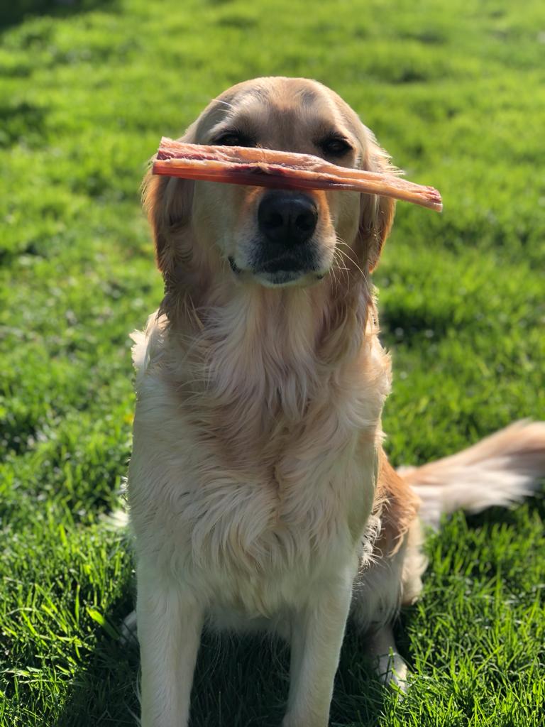 Büffelfleisch oder Rinderkopfhaut - was bevorzugt der Hund als Leckerli?
