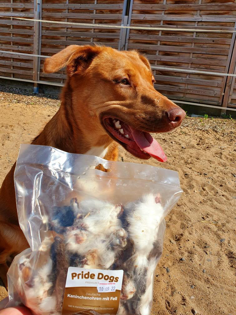 Büffelfleisch - Die gesunde Alternative für deinen Hund