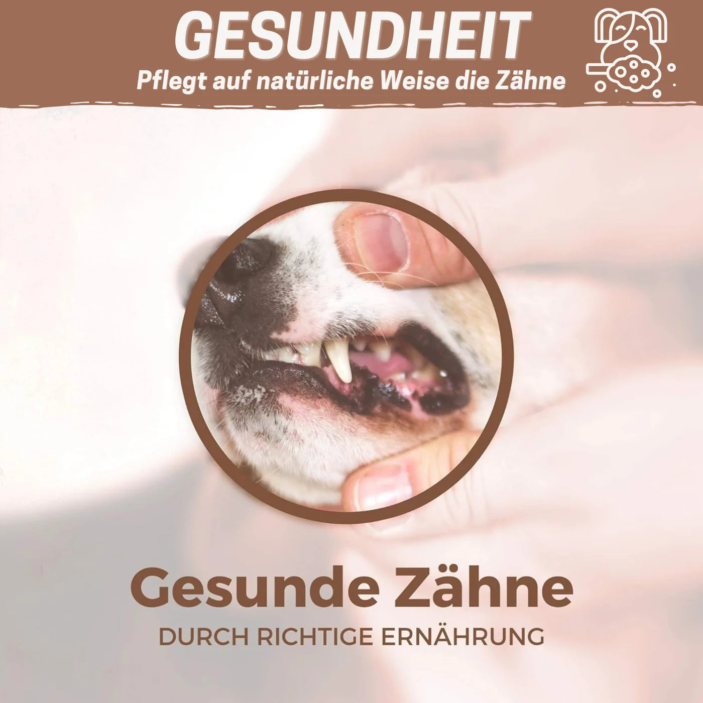Rinderkehlköpfe (5 Stück)