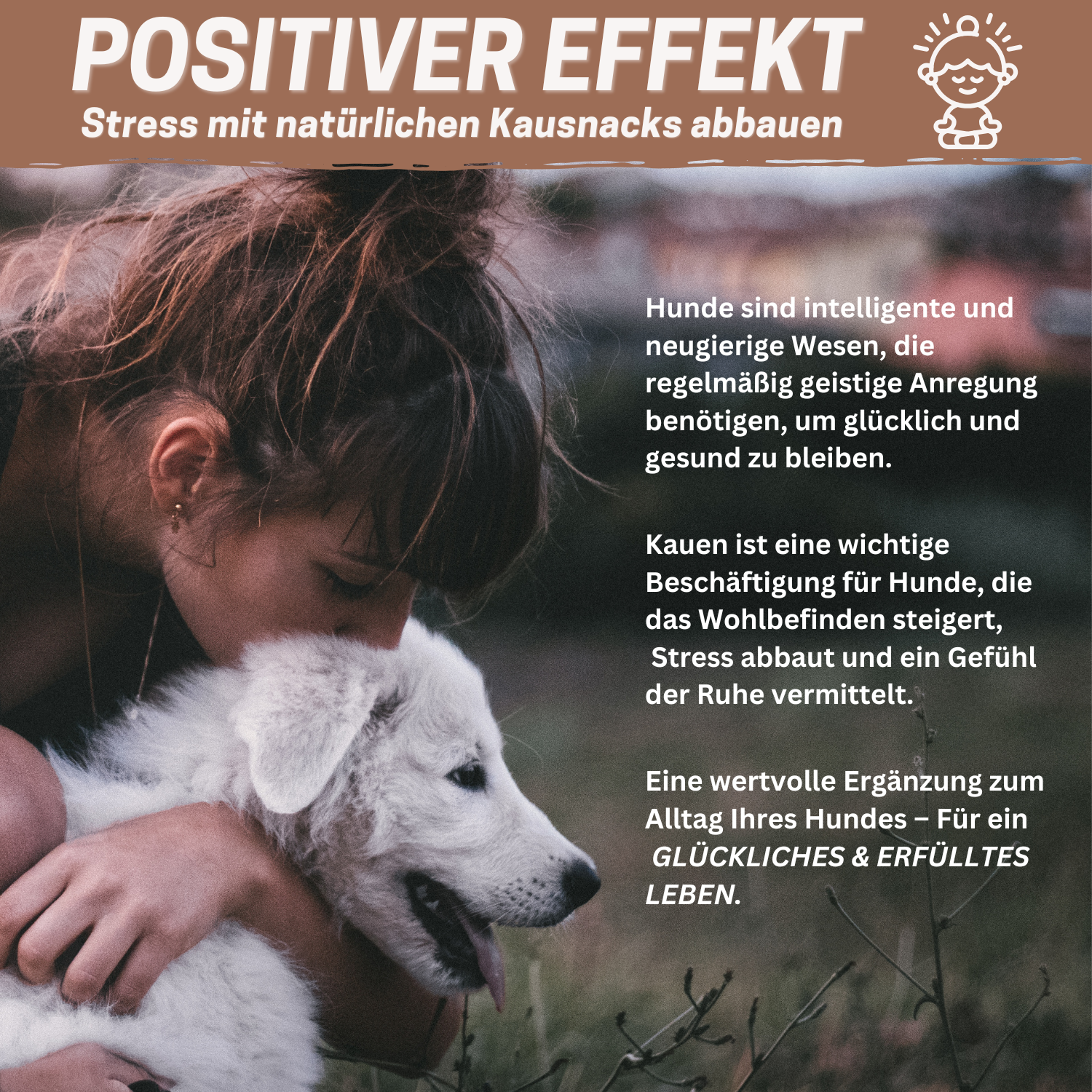 Trainingshappen - Rinderlunge für Hunde