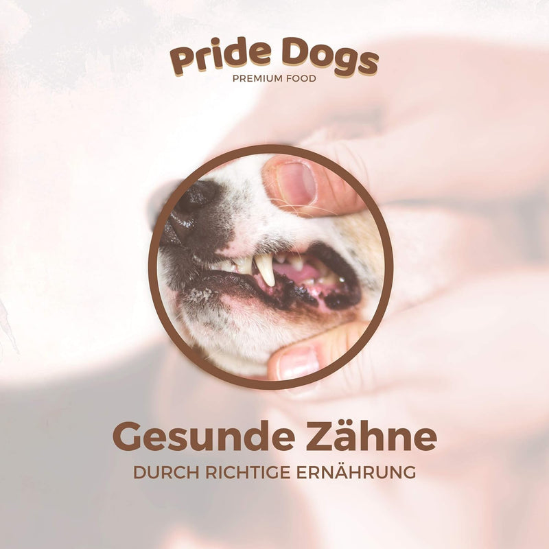 PrideDogs Welpensticks - natürlicher Kauknochen für kleine Hunde und Welpen - 100% Rindfleisch aus Deutscher Herstellung - getreidefreies Leckerli - natürliche Zahnpflege