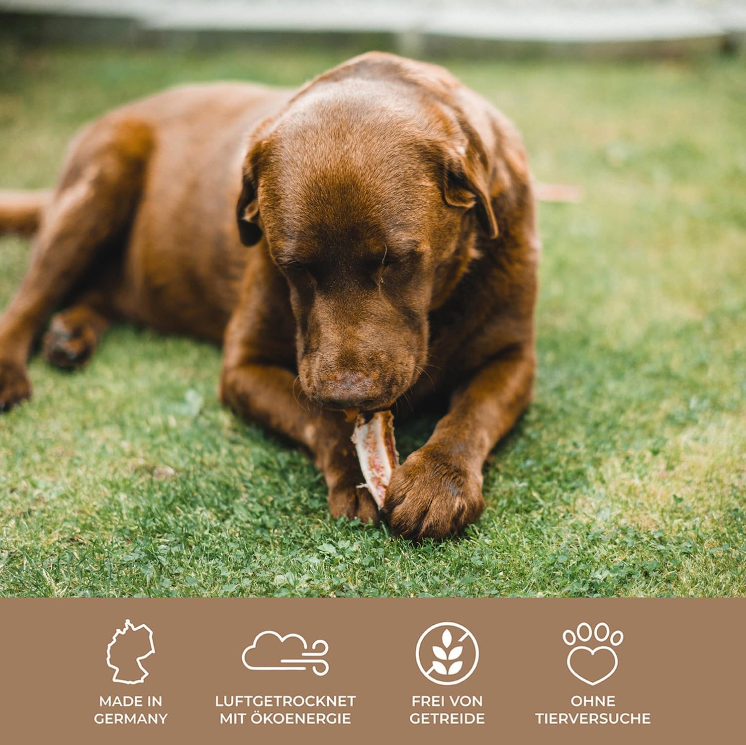 PrideDogs Welpensticks - natürlicher Kauknochen für kleine Hunde und Welpen - 100% Rindfleisch aus Deutscher Herstellung - getreidefreies Leckerli - natürliche Zahnpflege