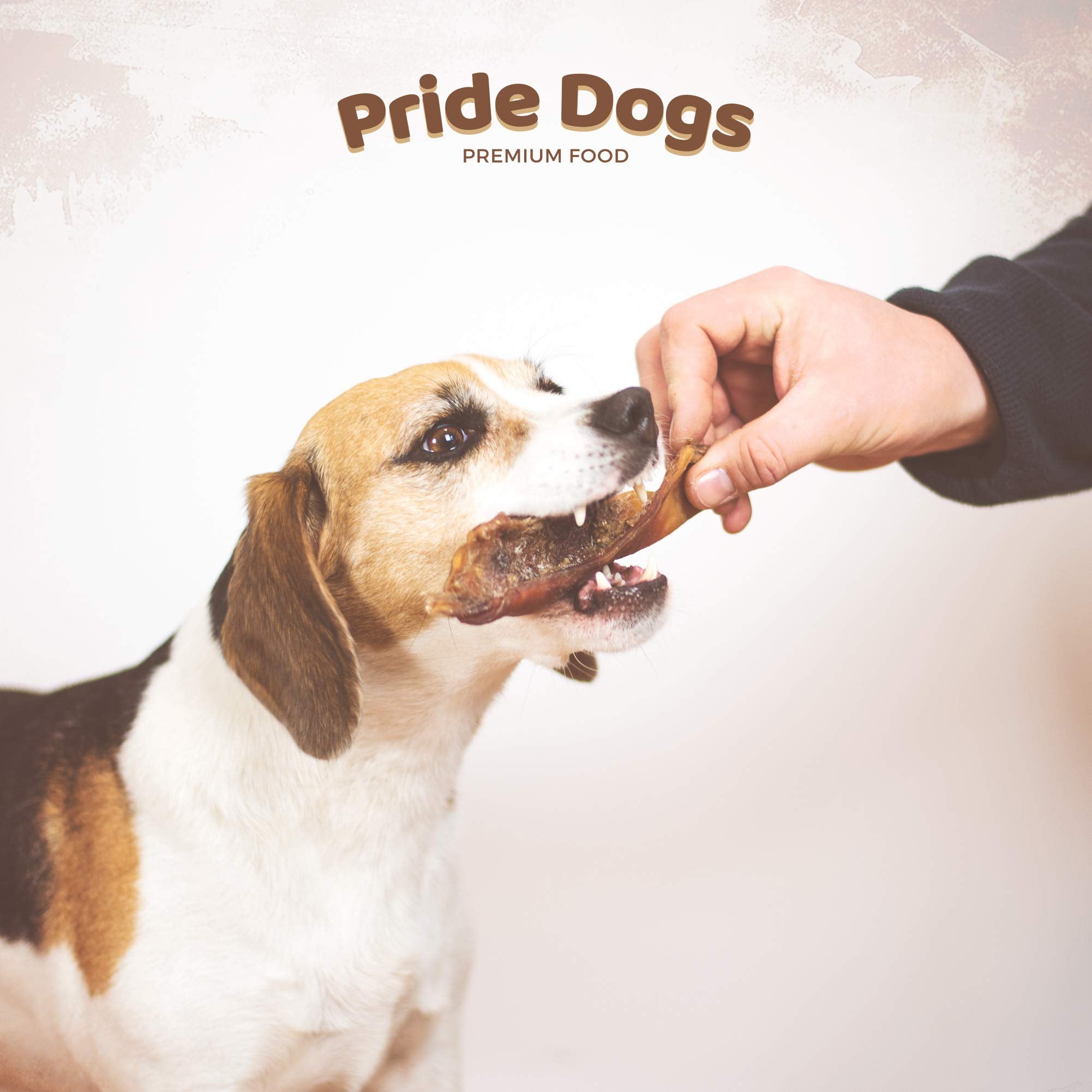 Büffelpansen von PrideDogs - Premium Leckerli für Hunde - Deutsche Herstellung - ohne Zusatzstoffe