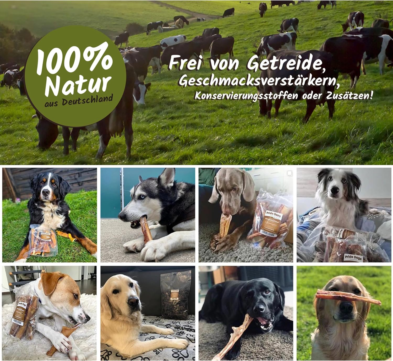Entenfüße - Der Premium Kausnack für Ihren Hund von PrideDogs | 100% Deutsche Herstellung