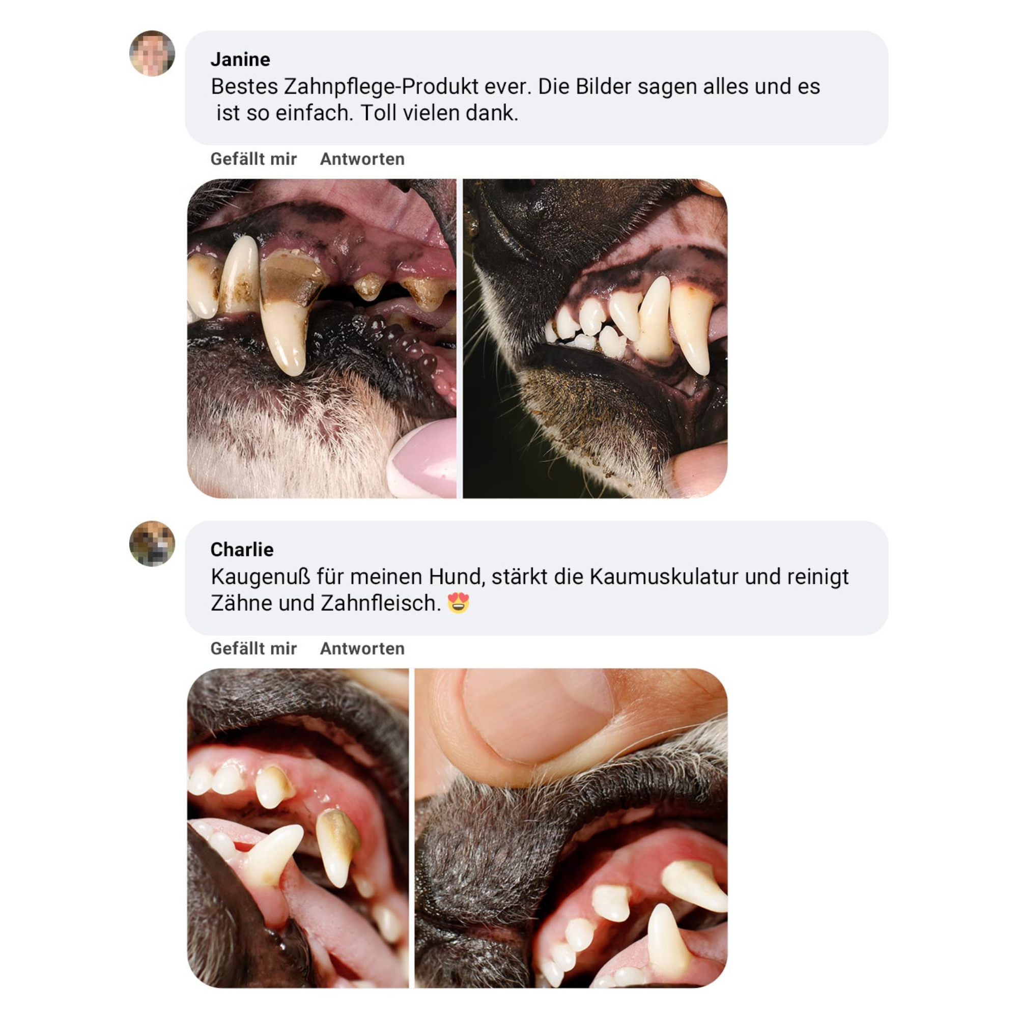 Deutsche Rinderkopfhaut