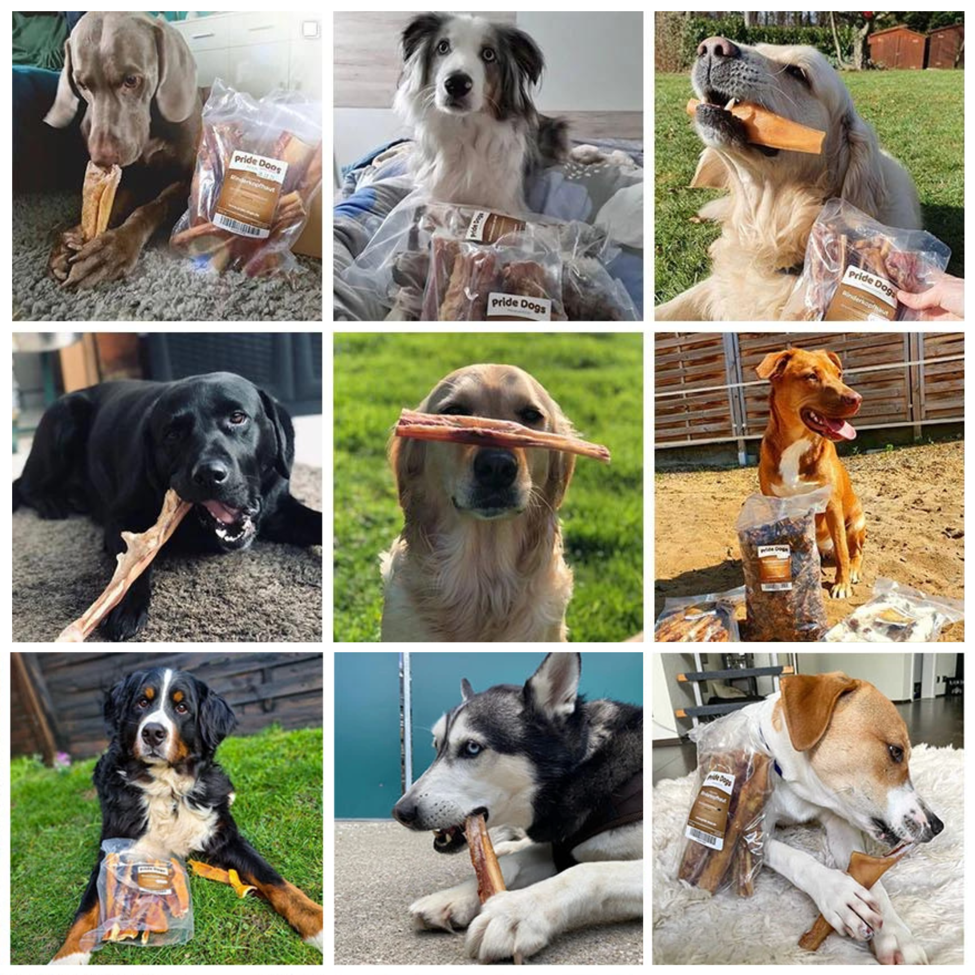 Deutsche Rinderkopfhaut