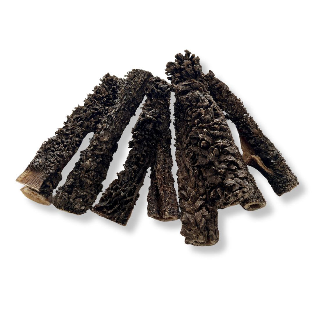 Lammpansen - Der Premium Kausnack für Ihren Hund | 100% Deutsche Herstellung | im geruchsarmen Beutel