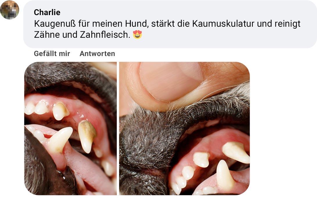 Kundenerfahrung mit PrideDogs Rinderkopfhaut