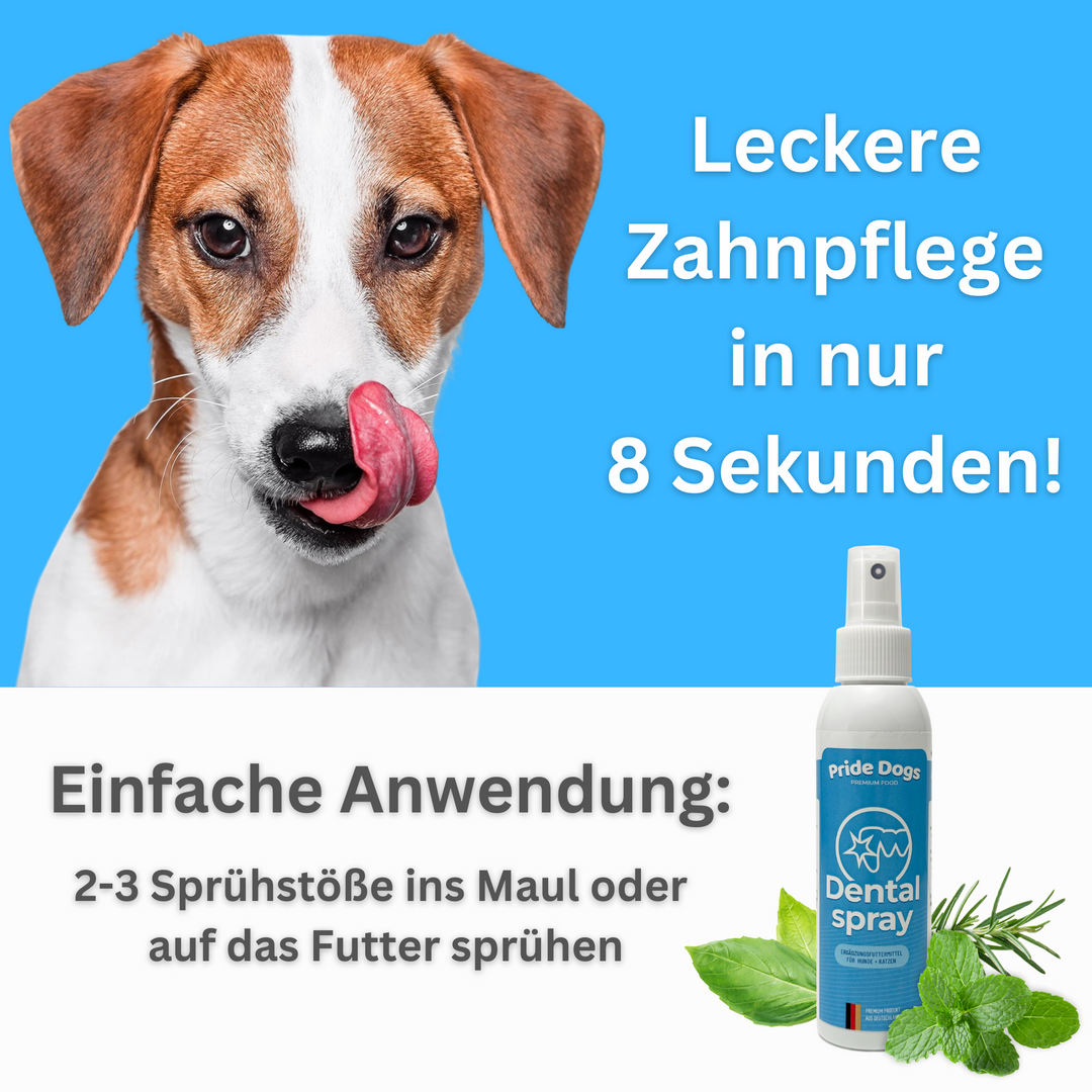 Dentalspray Produktbild 2
