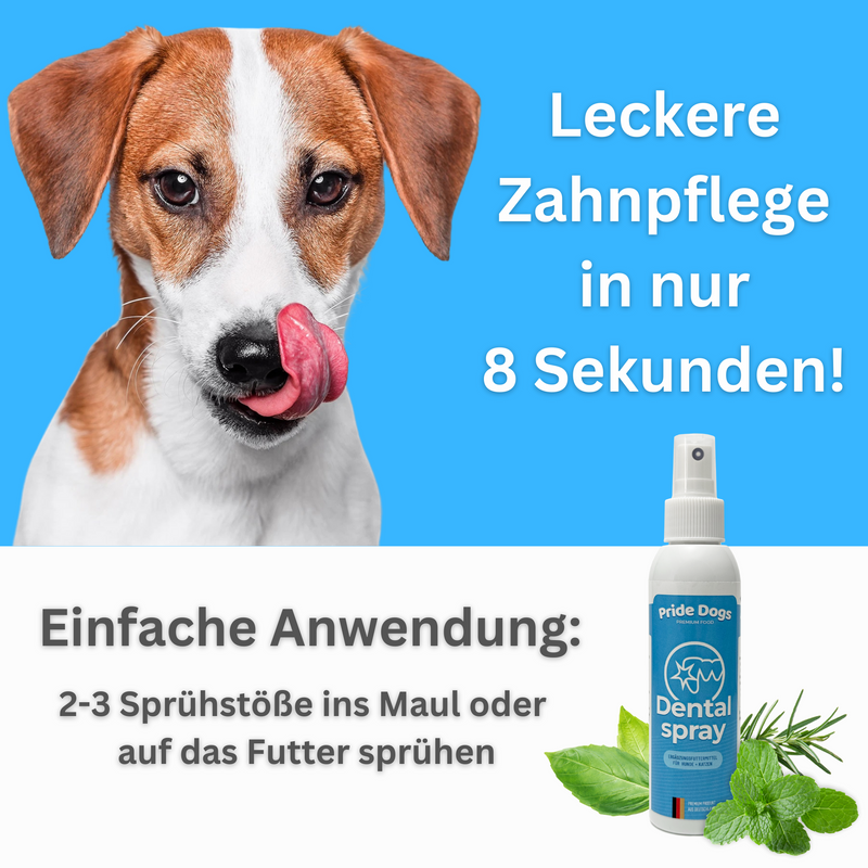 Dentalspray zur Zahnsteinentfernung