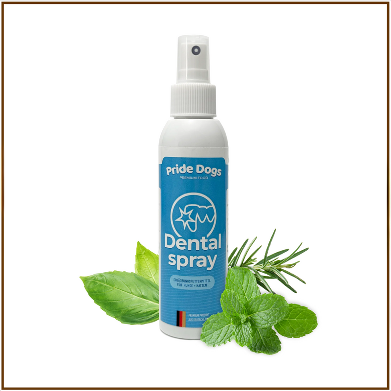 Dentalspray zur Zahnsteinentfernung