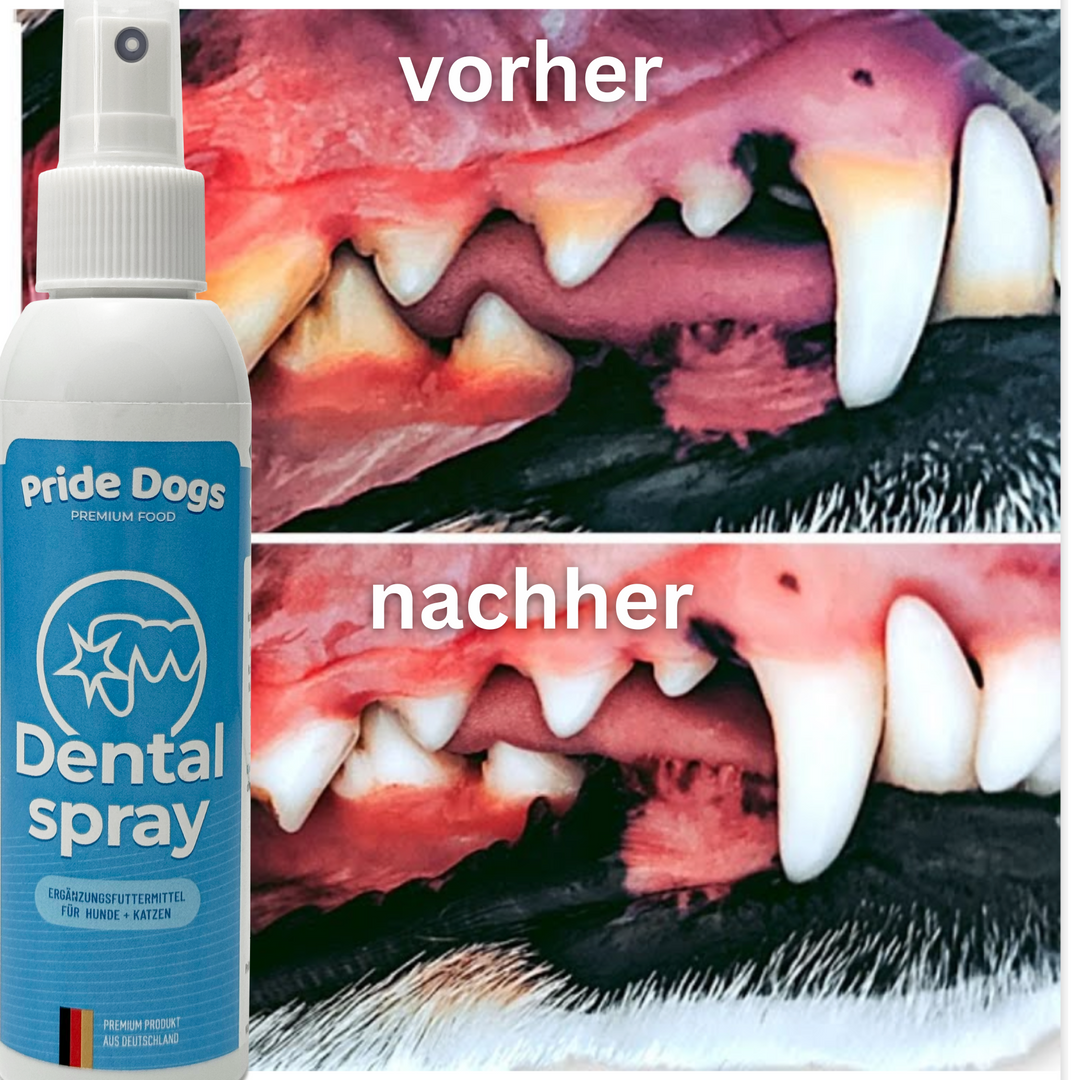 Dentalspray Produktbild 3