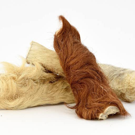 Rinderkopfhaut mit Fell 20 cm - Premium Kausnack - Zahnpflege - 100% Rind - Deutsche Herstellung - Getreidefrei