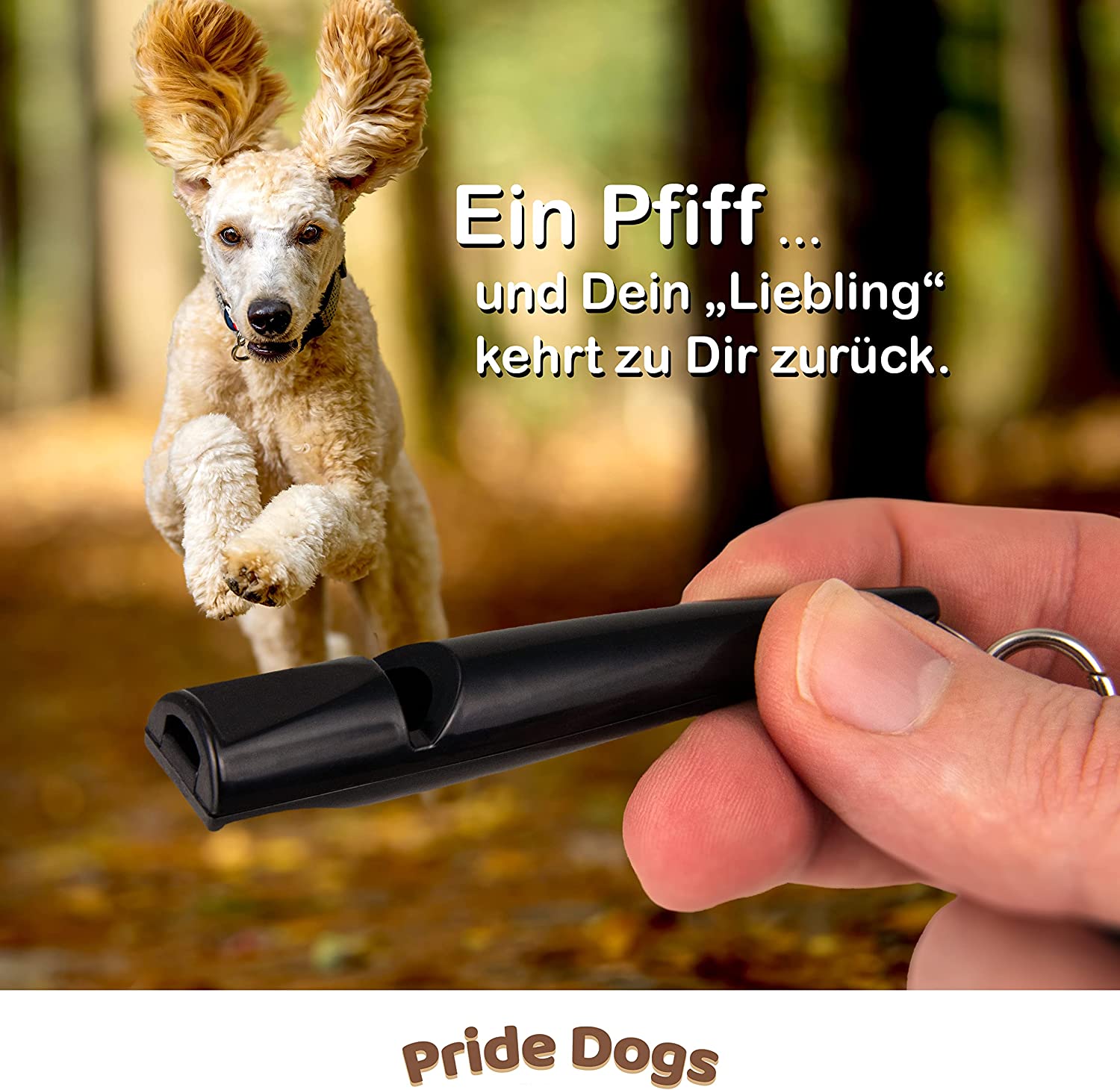 PrideDogs Hundepfeife mit Pfeifenband - Perfekt für Hundeerziehung - Hochfrequenz - SCHWARZ