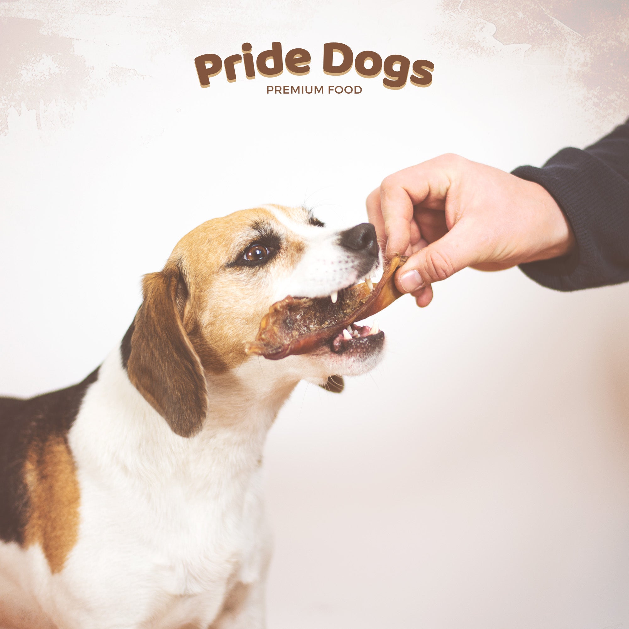 Rinderkopfhaut 1000g [kurz] der Premium Kausnack füre Ihren Hund | 100% Deutsche Herstellung | im geruchsarmen Beutel