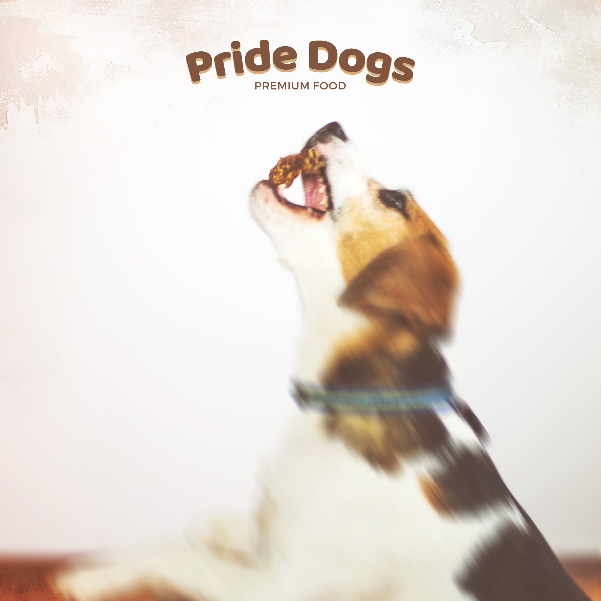 Rinderkopfhaut 500g [kurz] der Premium Kausnack füre Ihren Hund | 100% Deutsche Herstellung | im geruchsarmen Beutel